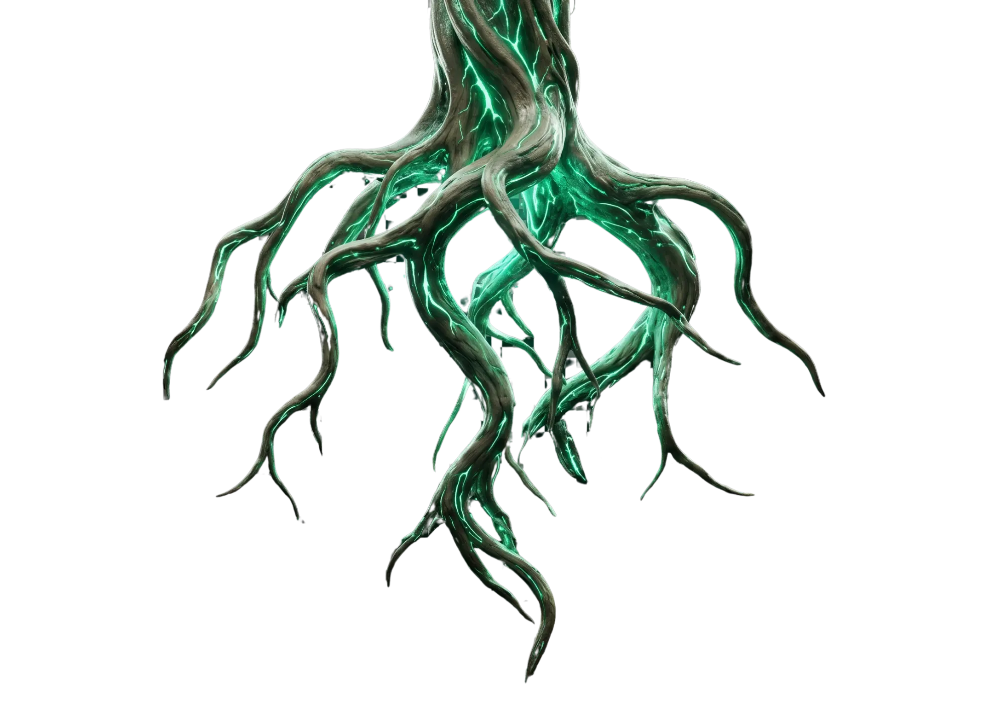 Tree Roots